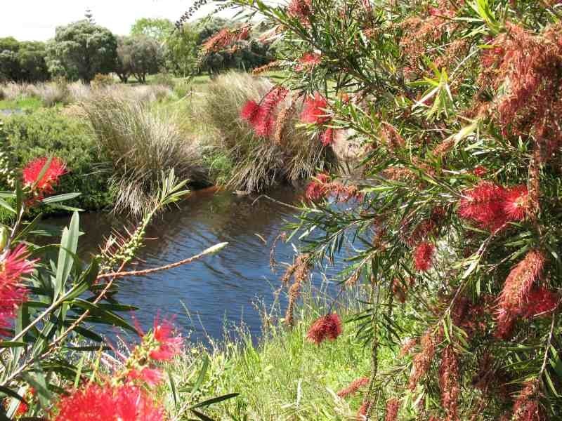 Lot 4, 38 Matthews Road, Augusta WA 6290