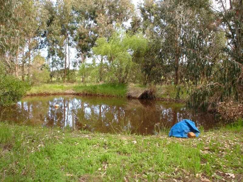 Lot 33, 44 Palmdale Ave, Augusta WA 6290