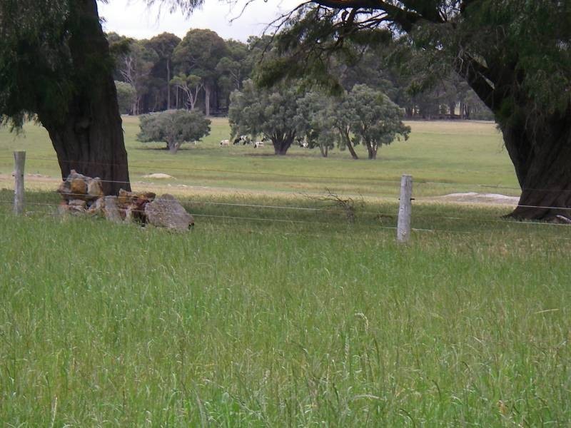 Lot 22, 204 Twenty Four Road, Karridale WA 6288