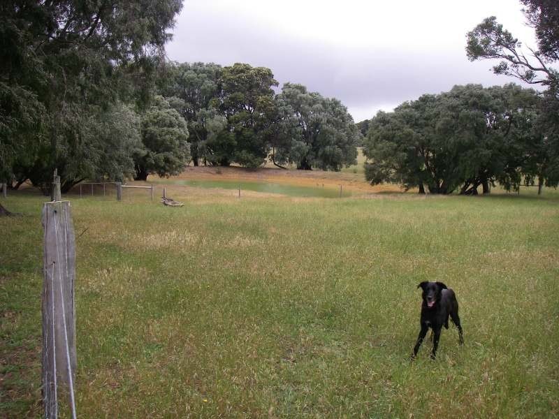 Lot 22, 204 Twenty Four Road, Karridale WA 6288