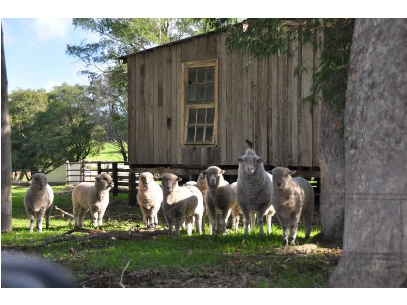 Lot 22, 204 Twenty Four Road, Karridale WA 6288