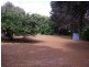 Lot Lot 21, Lot 3127 Bussell Highway, Kudardup WA 6290