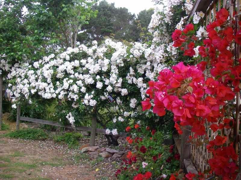 Lot Lot 21, Lot 3127 Bussell Highway, Kudardup WA 6290