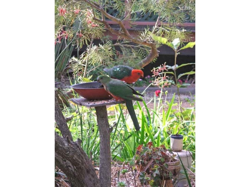 Gulmarrad NSW 2463