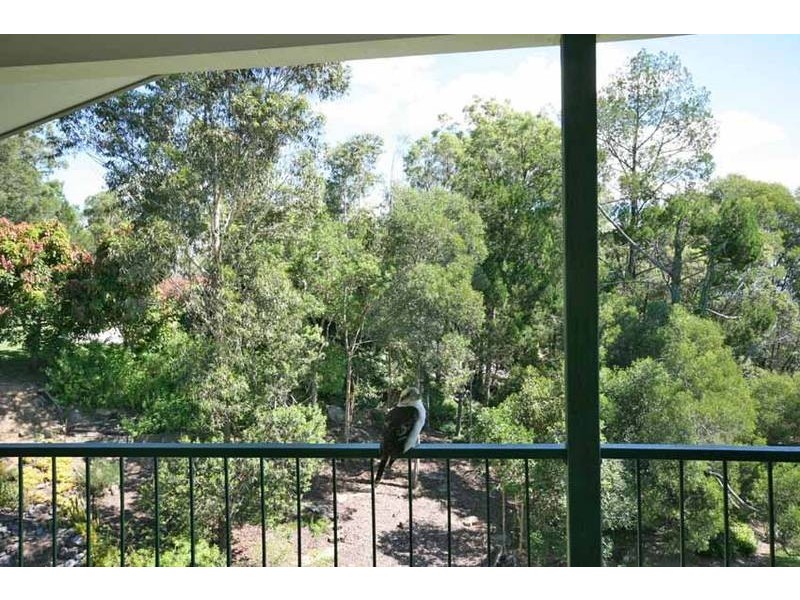 Maclean NSW 2463