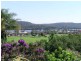Maclean NSW 2463