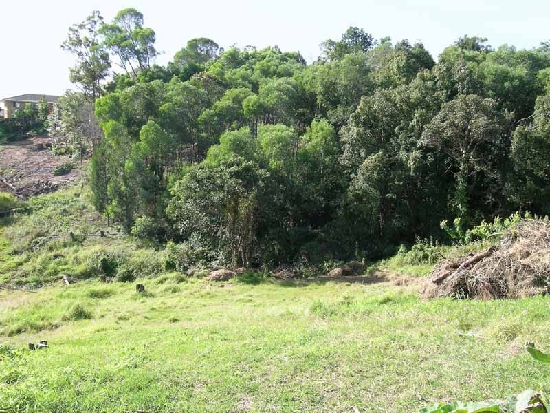Maclean NSW 2463