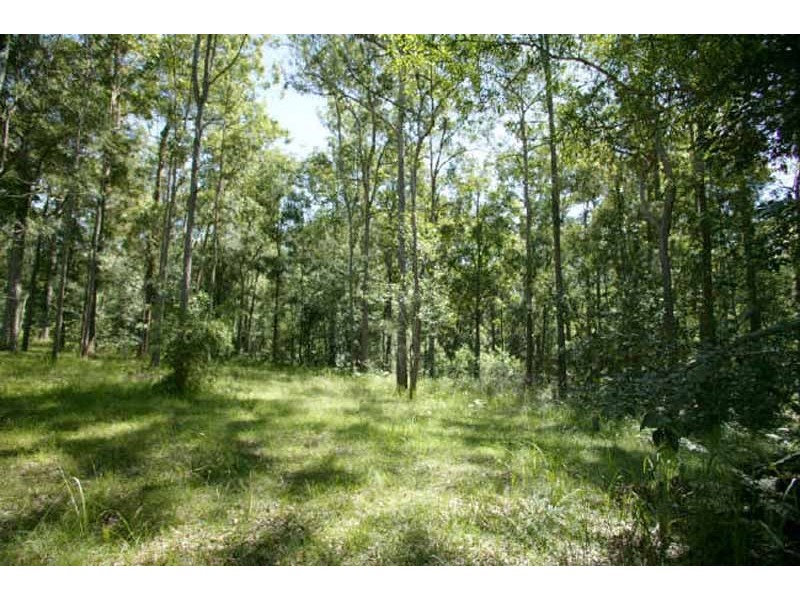 340 Jackybulbin Road, Tullymorgan NSW 2463