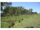 Palmers Island NSW 2463