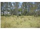 Palmers Island NSW 2463