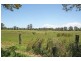 Palmers Island NSW 2463