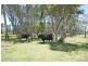 Palmers Island NSW 2463