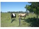 Palmers Island NSW 2463