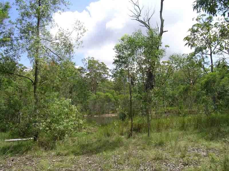 Shark Creek NSW 2463