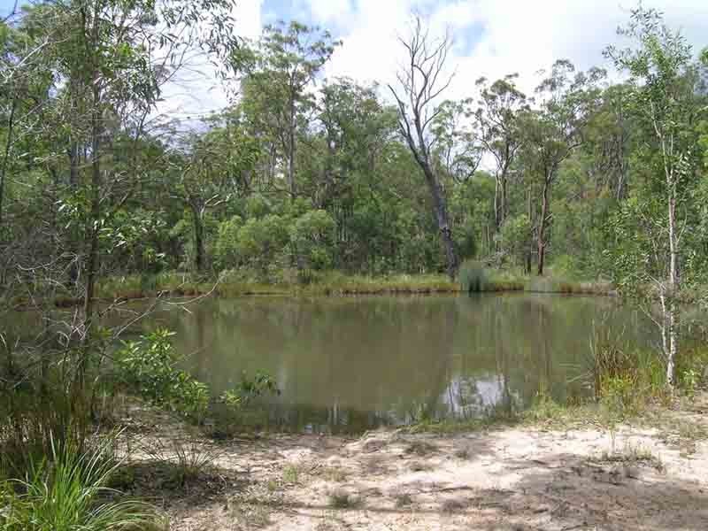 Shark Creek NSW 2463