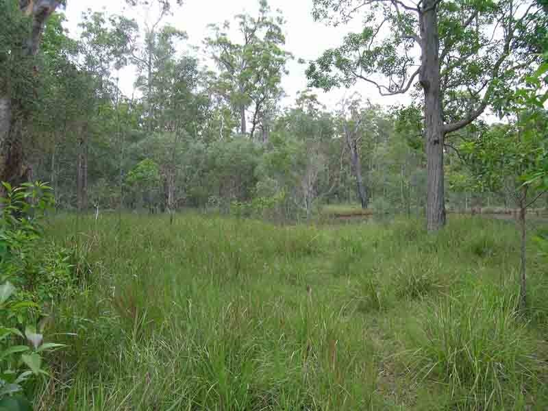 Shark Creek NSW 2463