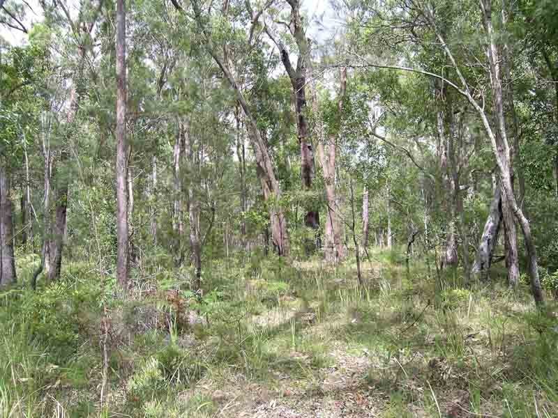 Shark Creek NSW 2463