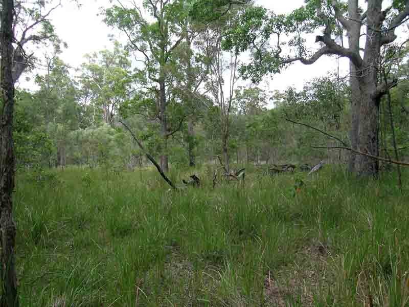 Shark Creek NSW 2463