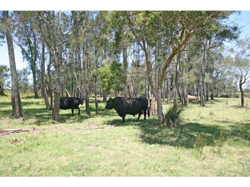 Palmers Island NSW 2463