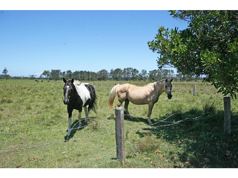 Palmers Island NSW 2463