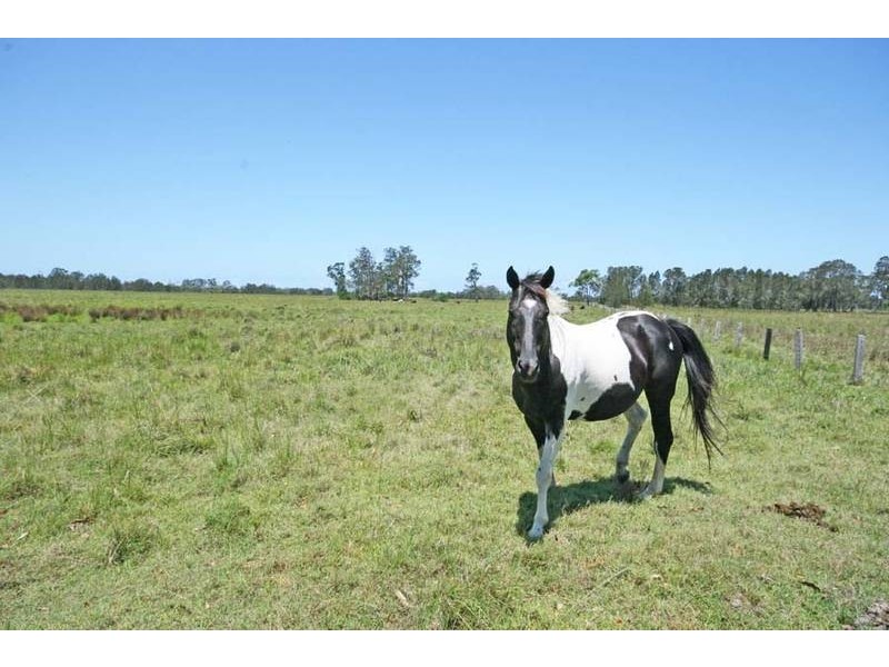 Palmers Island NSW 2463