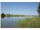 Brushgrove NSW 2460