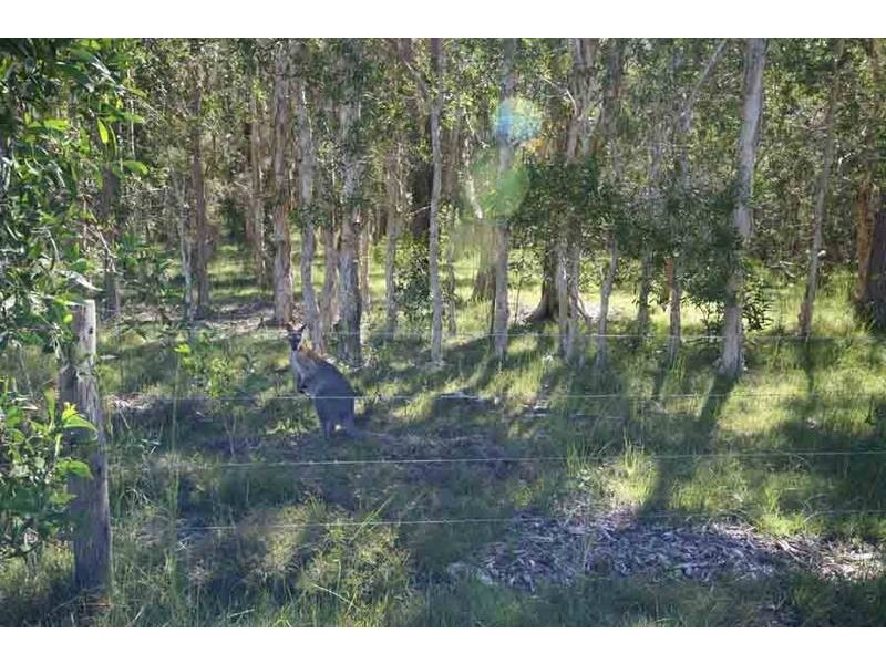 Gulmarrad NSW 2463