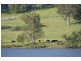 Ashby NSW 2463