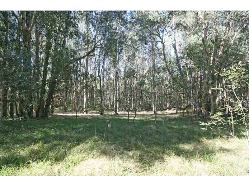 Shark Creek NSW 2463