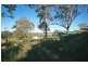 Maclean NSW 2463