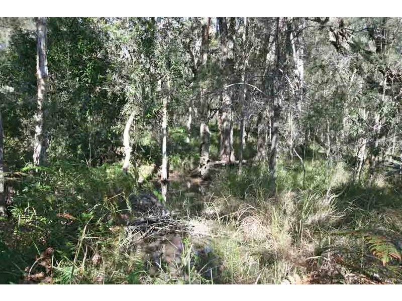 Shark Creek NSW 2463