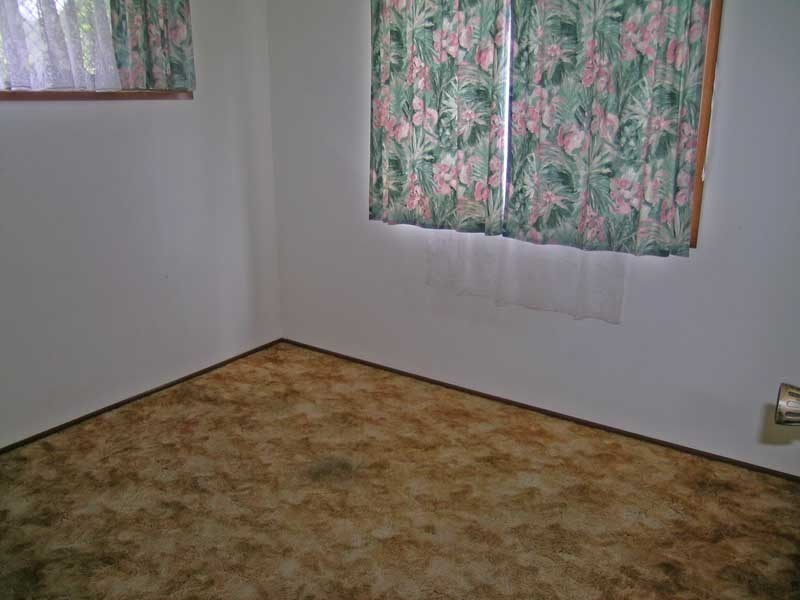 13 Diamond Street, Townsend NSW 2463