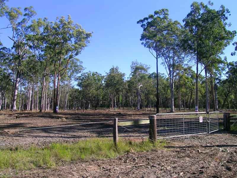 Gulmarrad NSW 2463