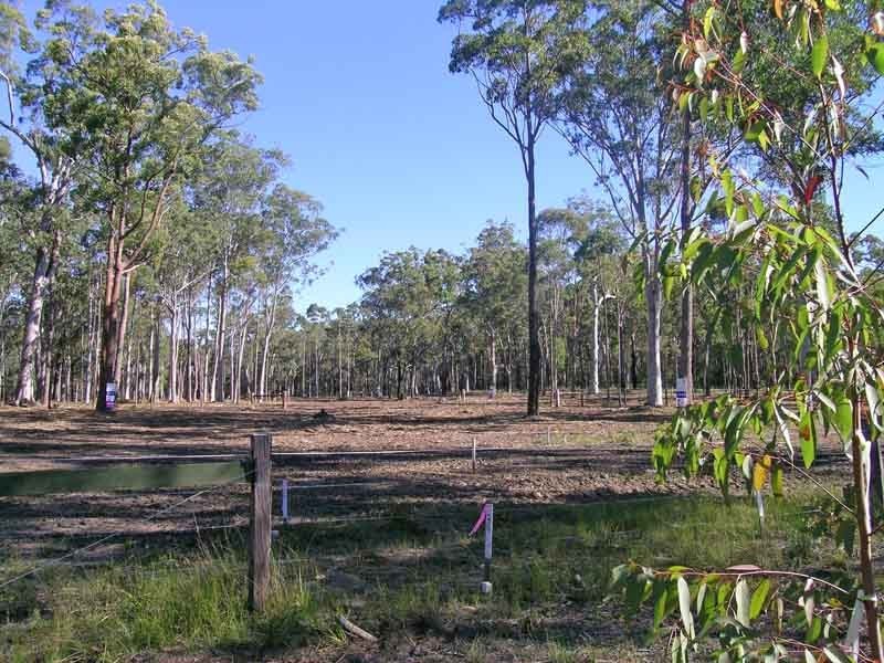 Gulmarrad NSW 2463