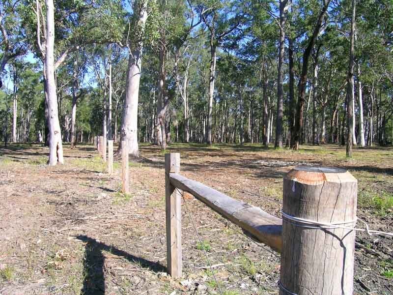 Gulmarrad NSW 2463