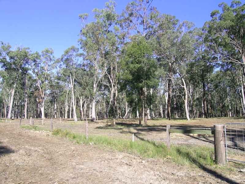 Gulmarrad NSW 2463