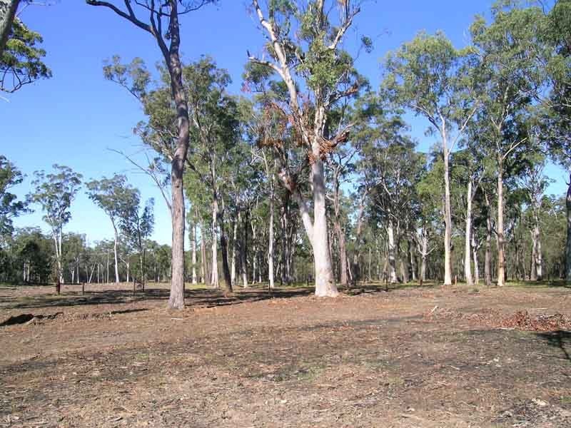 Gulmarrad NSW 2463