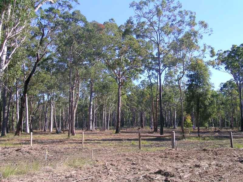 Gulmarrad NSW 2463