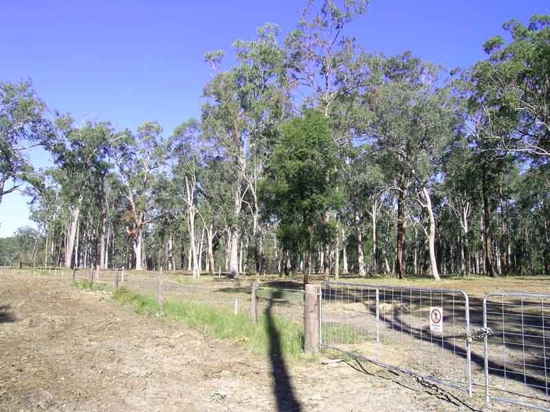 Gulmarrad NSW 2463