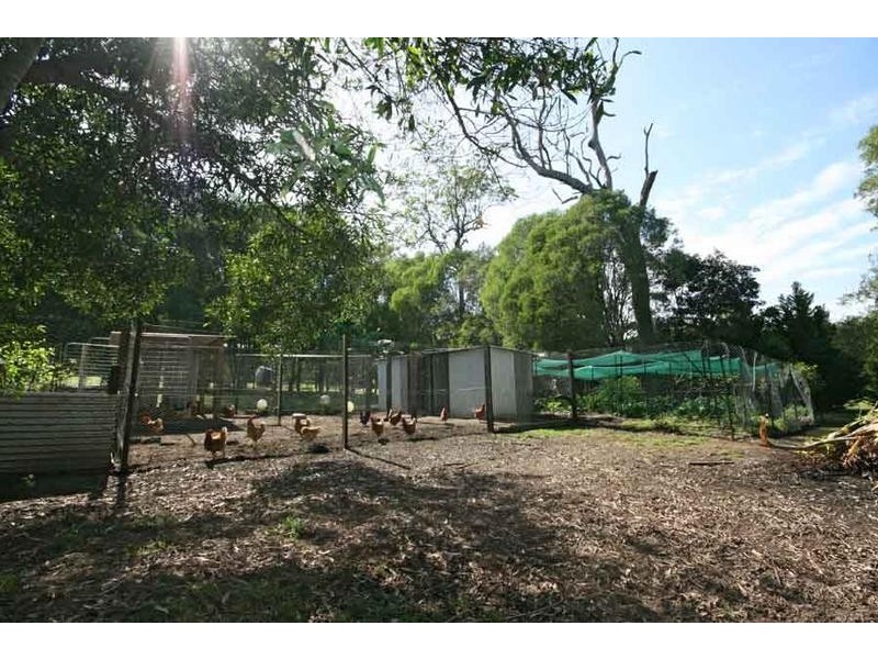 63 Patemans Road, Ashby NSW 2463