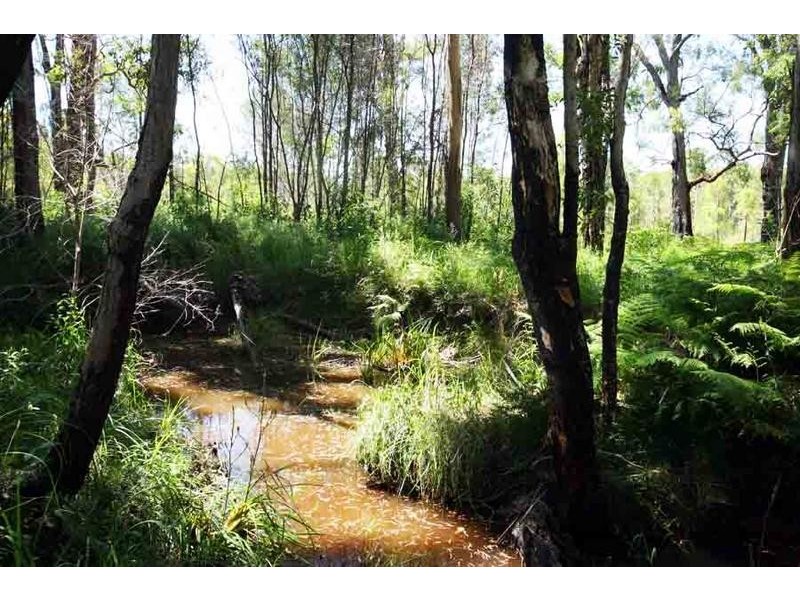 LOT 19 Brooms Head Road, Taloumbi NSW 2463