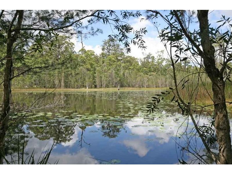 695 Jacky Bulbin Road, Jacky Bulbin Flat NSW 2463