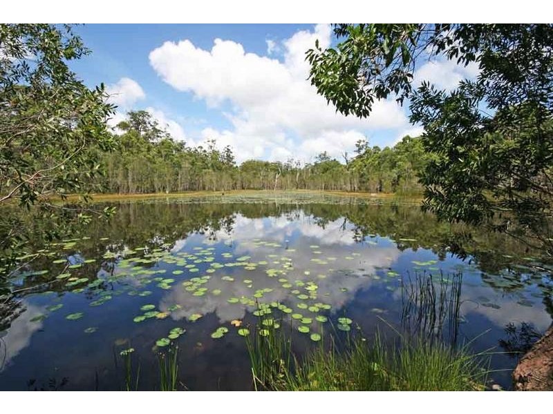 695 Jacky Bulbin Road, Jacky Bulbin Flat NSW 2463