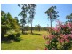 3 Brolga Drive, Gulmarrad NSW 2463