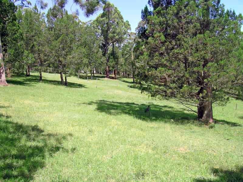 Lot 19 Sunset Close, Ashby NSW 2463