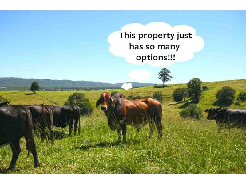 76 Mangrove Creek Road, Tullymorgan NSW 2463