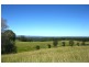 76 Mangrove Creek Road, Tullymorgan NSW 2463