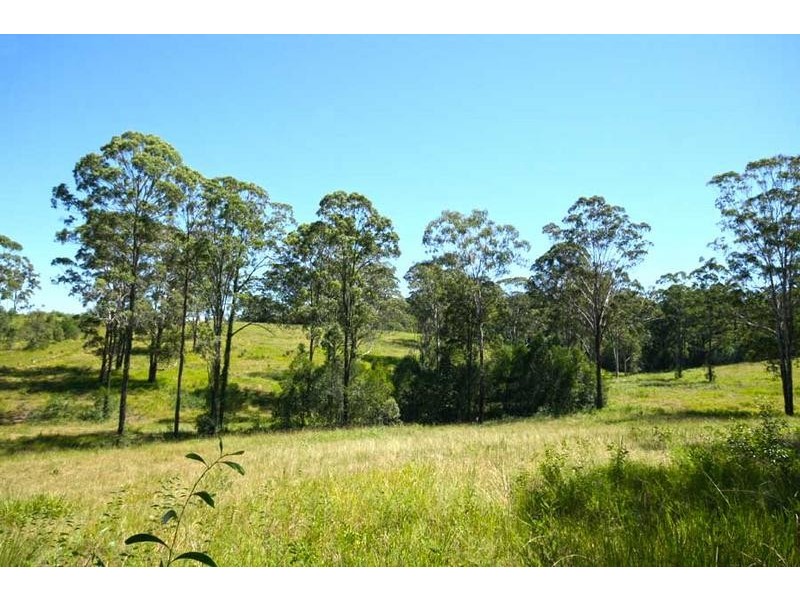 76 Mangrove Creek Road, Tullymorgan NSW 2463