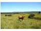 76 Mangrove Creek Road, Tullymorgan NSW 2463
