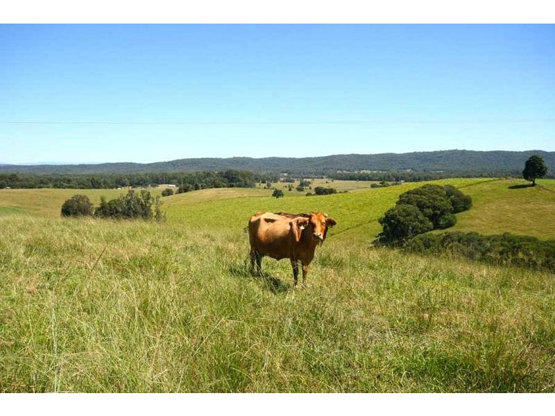 76 Mangrove Creek Road, Tullymorgan NSW 2463